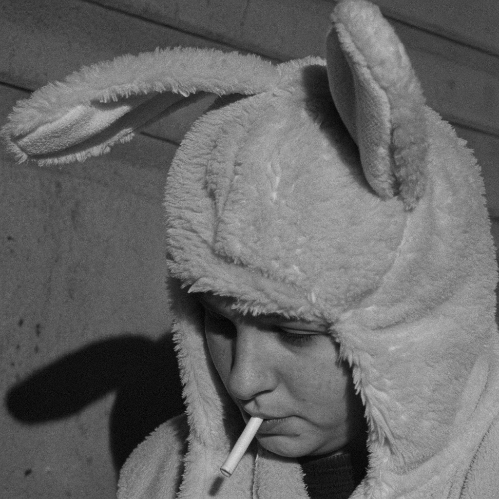 The Rebellious Rabbit | weird pfp dark aesthetic